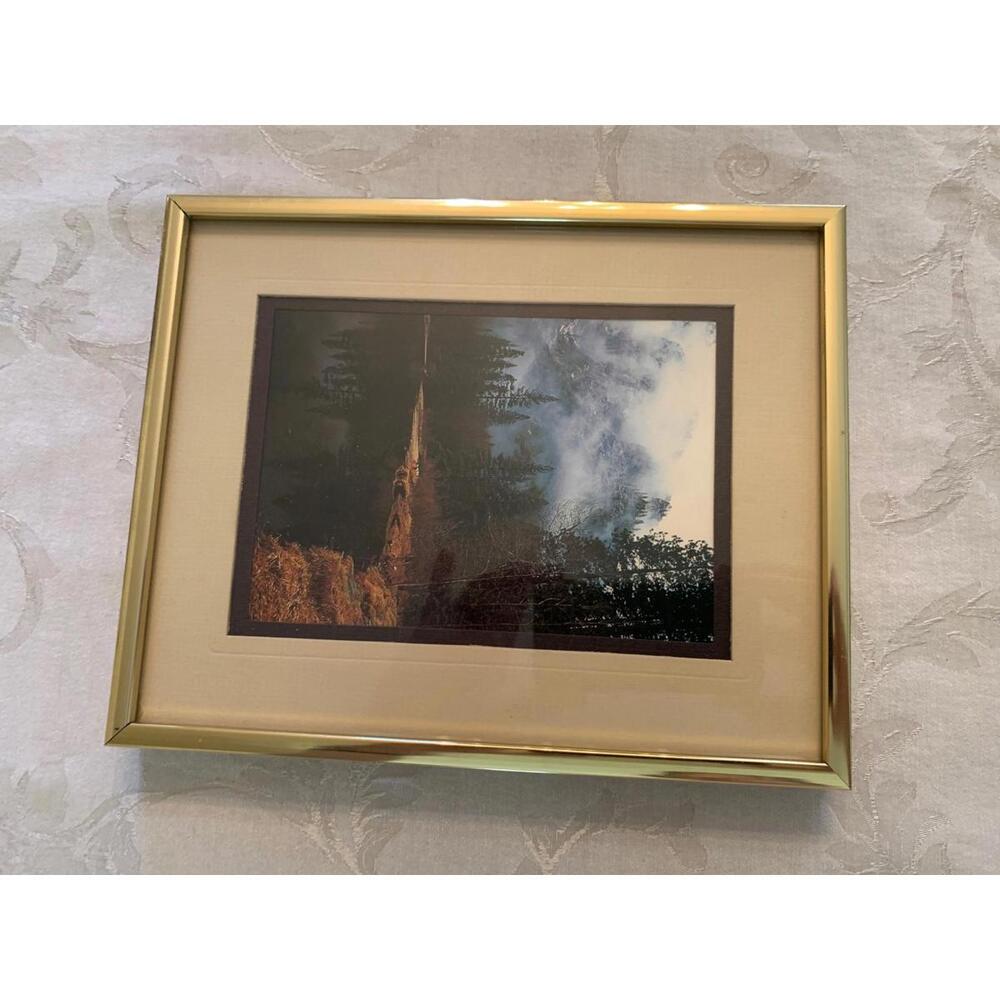 10 1/2 x 8 1/2 Picture in Gold Frame